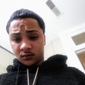 Meet your Posher, Leonardo